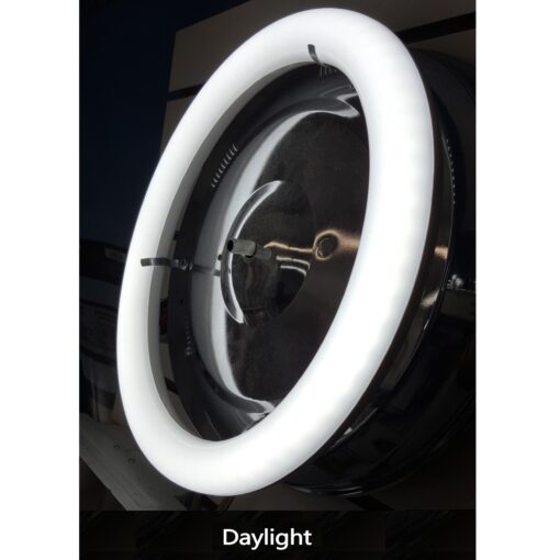 Circline LED lamp